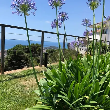 Oasis Costa Brava *