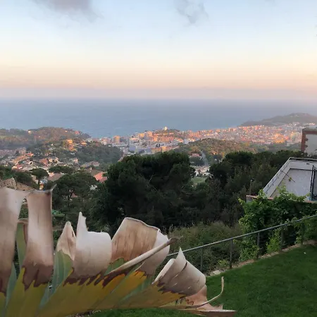 Villa Oasis Costa Brava *